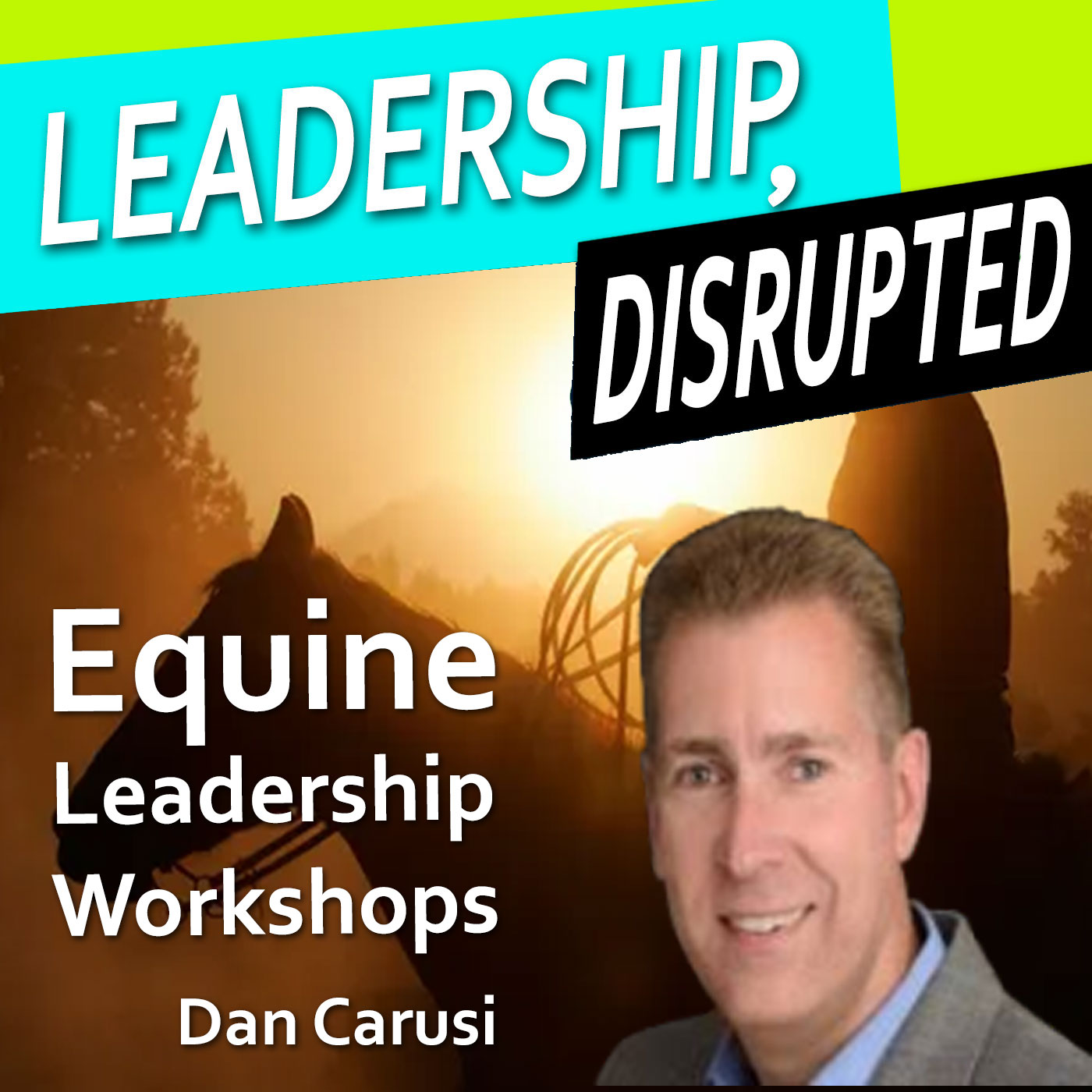 Equine Leadership Workshops